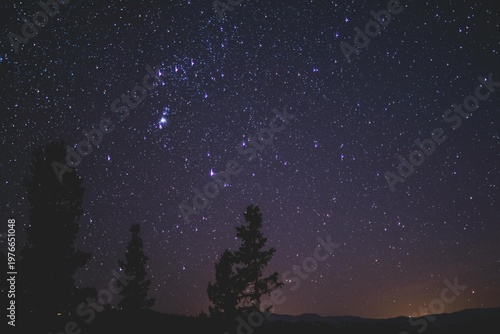starry night sky