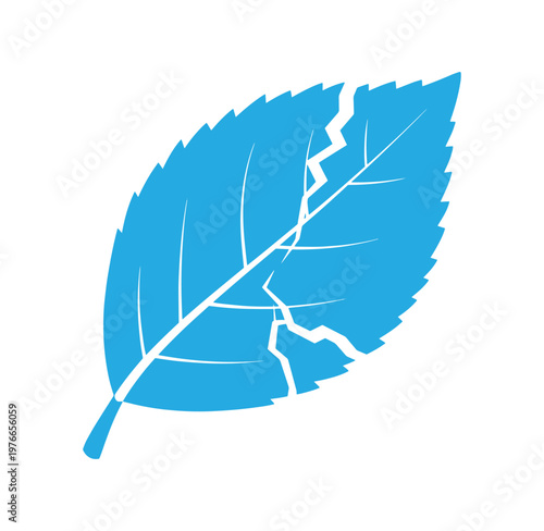 blue leaf with cracks and jagged edges on white background