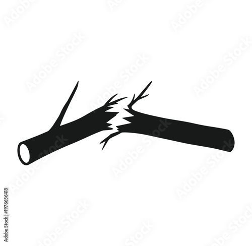 broken tree branch with sharp splinters isolated on white background