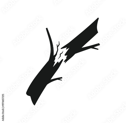 Silhouette of a broken tree branch on white background