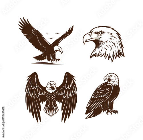 Four brown eagle illustrations in various poses on white background