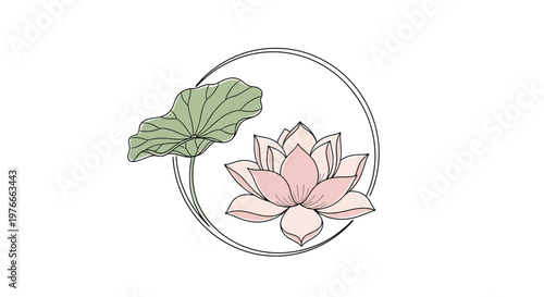 Pink lotus flower in circle frame.