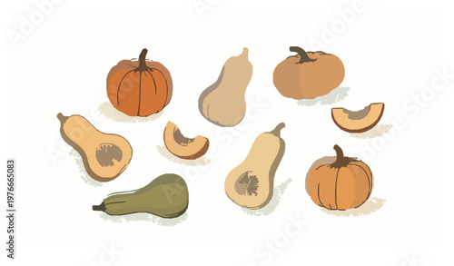 Minimal hand drawn pumpkin squash and gourd vector set with soft retro style autumn harvest collection
