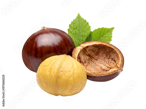 Fresh Chestnuts with Kernel and Shell Isolated on Transparent Background