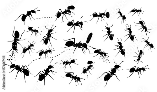 Dynamic ant silhouettes crawling colony insects bug vector illustration set