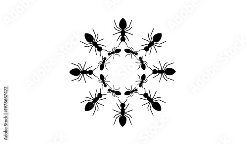 Minimal ant silhouette circle composition insect colony vector design set