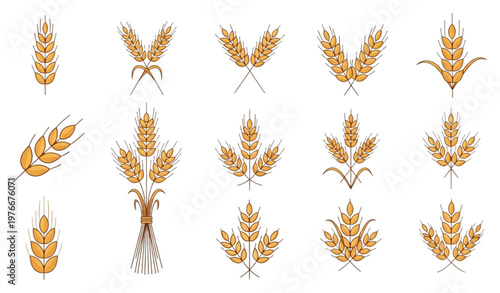 Wheat Ear and Grain Spike Set with Agricultural Harvest Elements Barley Oat and Cereal Plant Collection Isolated on White Background