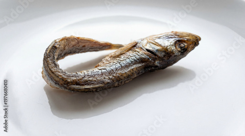 dried anchovy placed on a clean and pristine white background