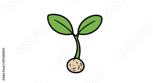 Simple Cartoon Style Green Seedling Illustration.