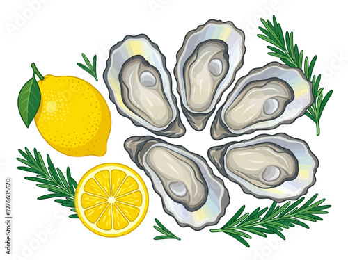 Fresh Shucked Oysters with Whole Lemon, Lemon Slice, and Rosemary Sprigs Illustration; Gourmet Seafood Platter Vector Art on White Background
