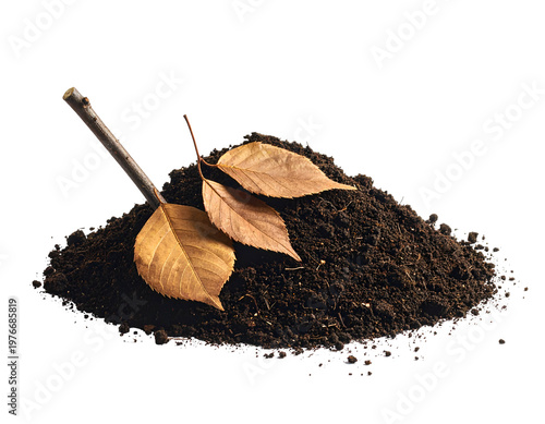 Pile of dark soil with dry leaves and stick