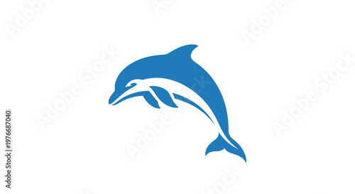 Blue dolphin jumping out water.