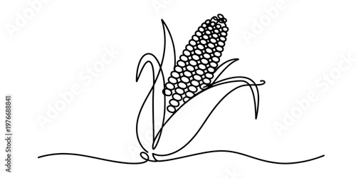 Minimalist continuous line drawing of a fresh ear of corn with husks isolated on white background Vector, illustration