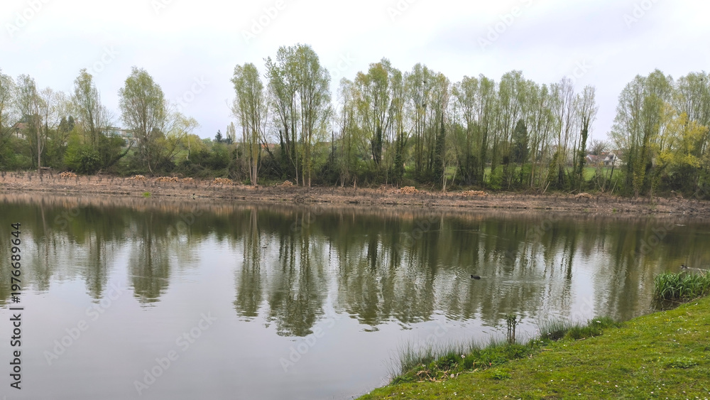 Fototapeta premium Peaceful Lakeside Scene with Perfect Reflections of Tall Trees, Green Shoreline, and Clear Calm Waters