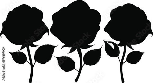 Silhouette rose flowers with leaves and stems on transparent background vector illustration.
