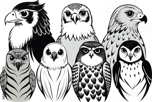 Collection of birds of prey and owls in black and white on transparent background.