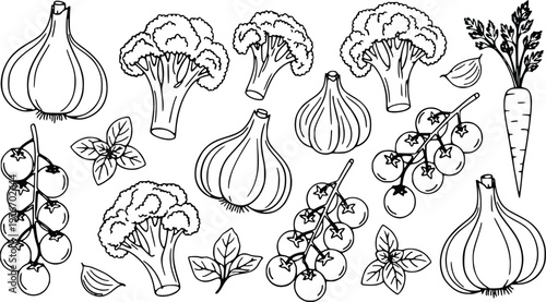 Vector illustration collection features a detailed assortment of fresh organic vegetables including garlic bulbs broccoli florets heirloom tomato clusters and aromatic herb leaves