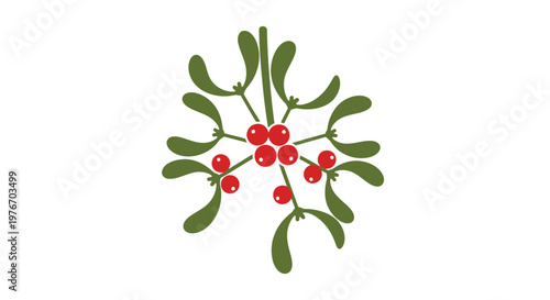 Mistletoe with Red Berries Illustration.