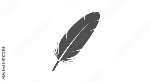 Single black feather on white background.