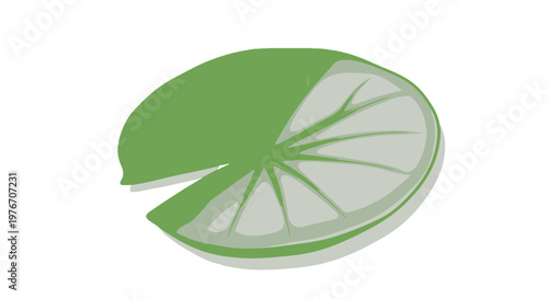 Lime Wedge Cut Open Fresh Fruit.