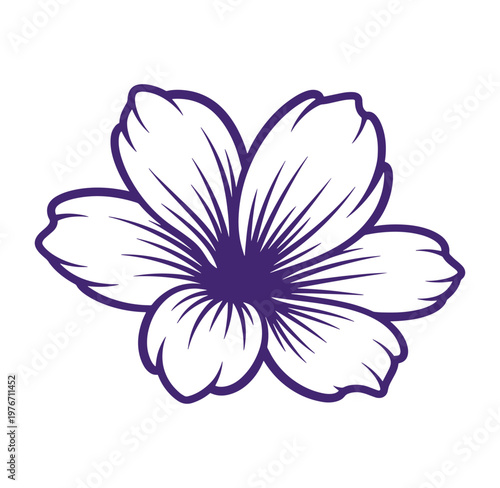 Purple flower with white petals and dark center on transparent background
