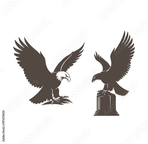 Silhouette of two eagles with spread wings on different surfaces