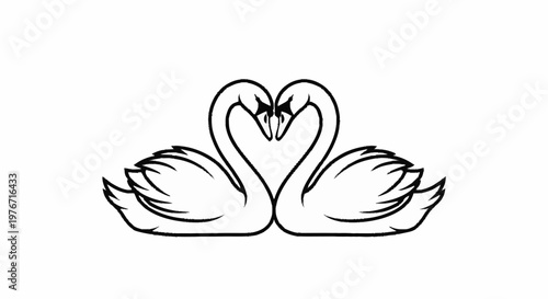 Elegant Swan Pair Forming a Heart Shape in Black and White.