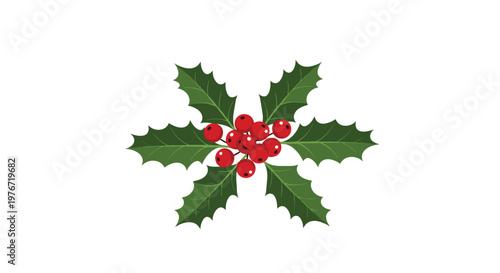 Traditional christmas holly decoration featuring vibrant red berries and sharp green leaves arranged in a star pattern.