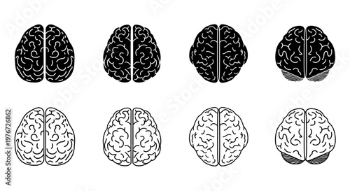 Stylized human brains depicted in various orientations and views