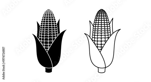 Two corn cobs one solid black and one outlined in a contrasting style