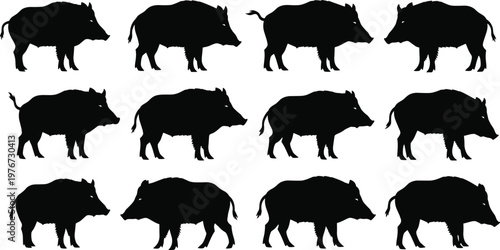 Wild boar silhouettes collection, animal vector icons, forest wildlife outline set, pig shapes design, hunting theme art, black silhouette illustration