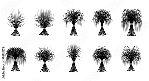 Set of black whisk broom icons on white background for cleaning and sweeping concepts