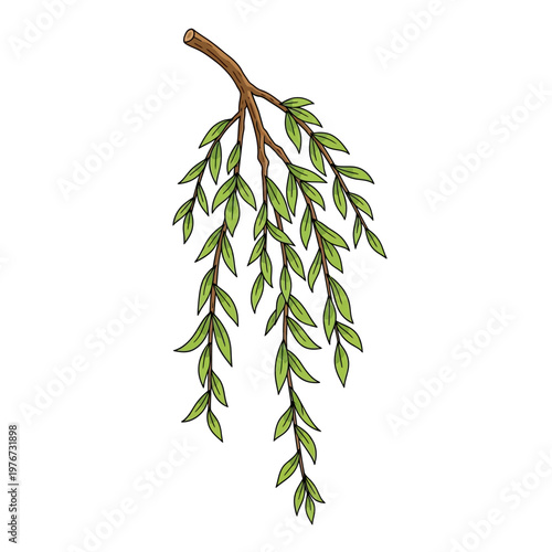 A branch adorned with small green leaves extending delicately from the stem