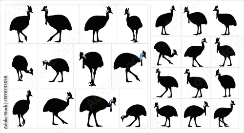Collection of black ostrich silhouettes in various poses on white background for design use