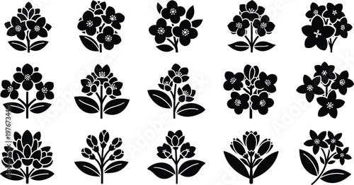 Black and white floral in rows flowers plants