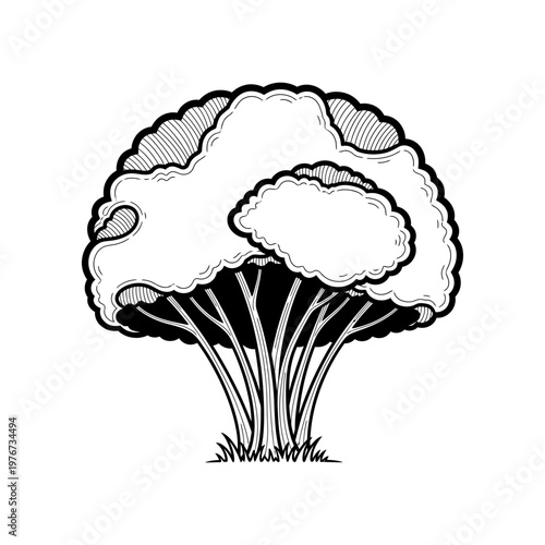 black and white line art of cauliflower vegetable