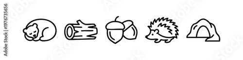 Minimalist Line Icon Set of Forest and Hibernation Theme