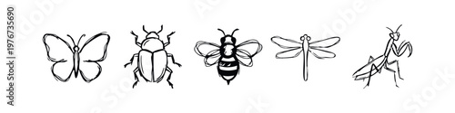 Hand Drawn Sketches of Common Insects Icon Set