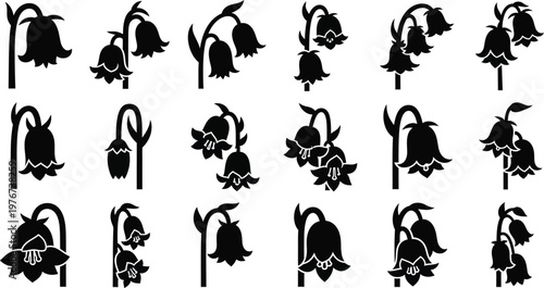 Black lily silhouette flower white background