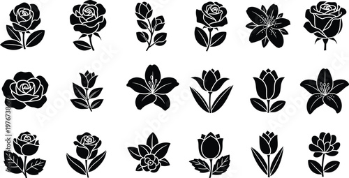 Black and white floral silhouettes on white background flowers floral flower shapes leafy botanical white background