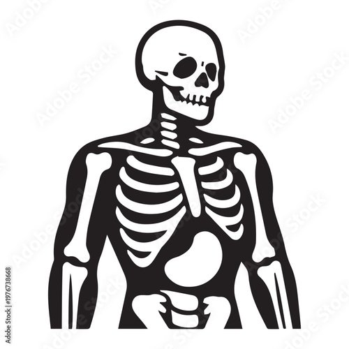 Human Upper Body Skeleton