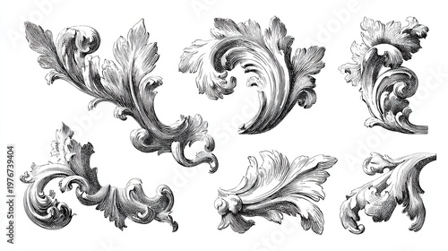 Baroque floral arabesque ornament collection with detailed leaf designs