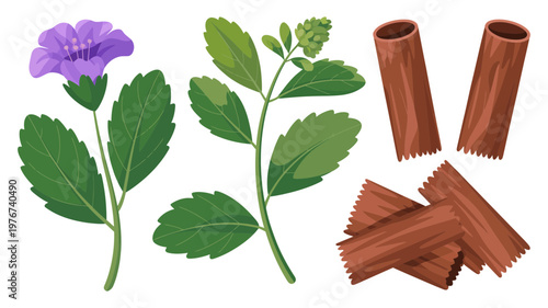 A collection of natural stevia leaves with a purple flower and aromatic cinnamon sticks and shavings.