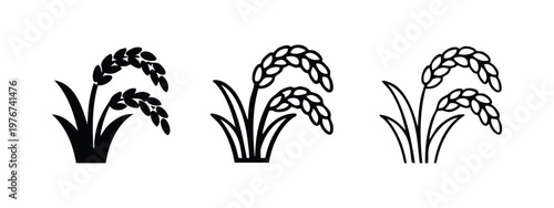 Rice plant vector icon set. Agriculture symbol for grain, harvest, food, and natural organic produce in various styles.