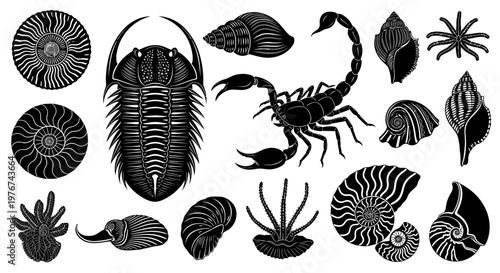 Prehistoric Sea Life Fossil Silhouettes Vector Illustration Trilobite Ammonite and Sea Scorpion