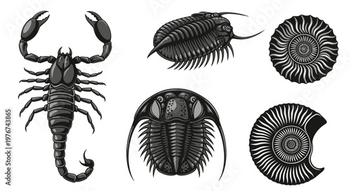 Obraz na płótnie Ancient Prehistoric Sea Creatures Illustration Set with Trilobite Ammonite and S