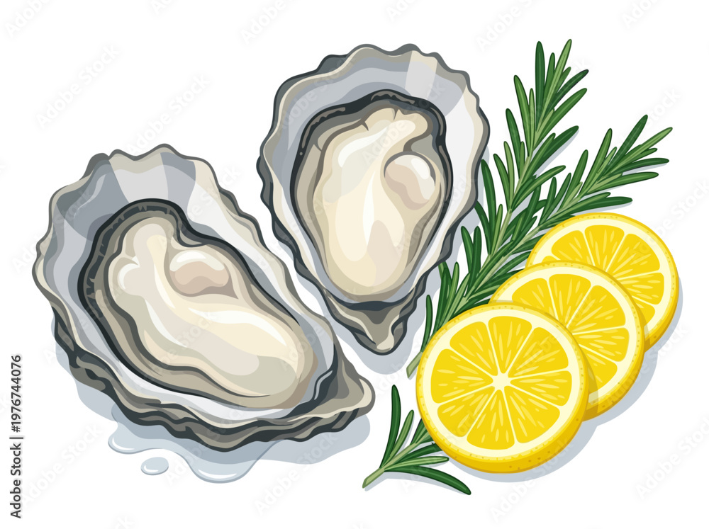 Obraz premium Fresh Oysters on Half Shell with Lemon Slices and Rosemary Sprig Isolated on White