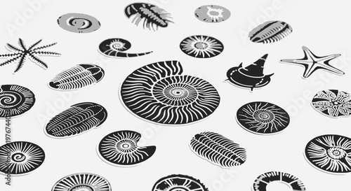 Prehistoric Ocean Fossil Silhouettes Set Ammonite and Trilobite Vector Graphic Illustration
