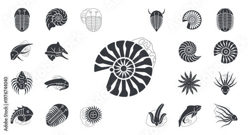 Prehistoric Paleozoic Sea Creature Silhouette Collection Vector Illustration Design Elements