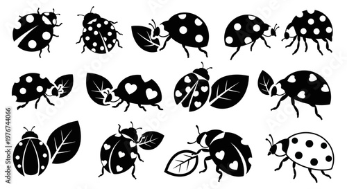Set of ladybug silhouettes in various poses with leaves and heart shapes isolated on white background